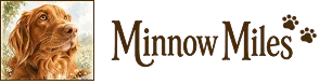 Minnow Miles